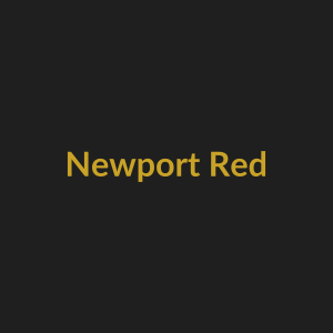 Newport 100s Red 20 Pack